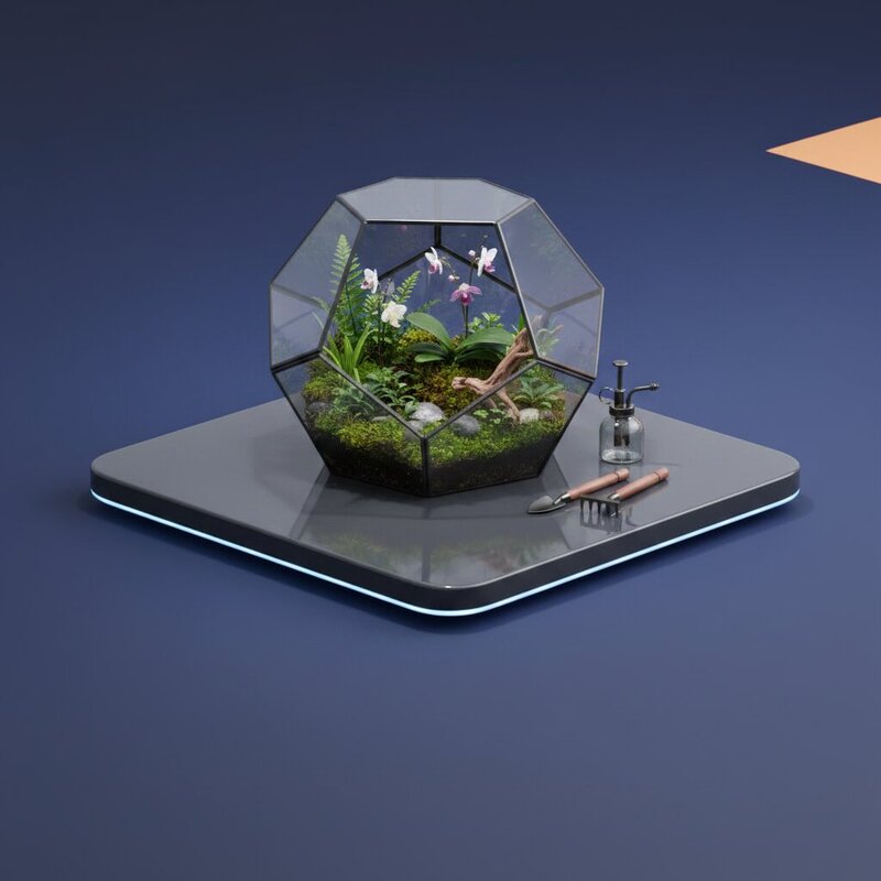 Geometric Glass Terrarium
