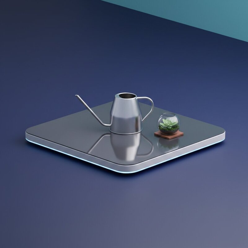 Watering Can with Long Spout