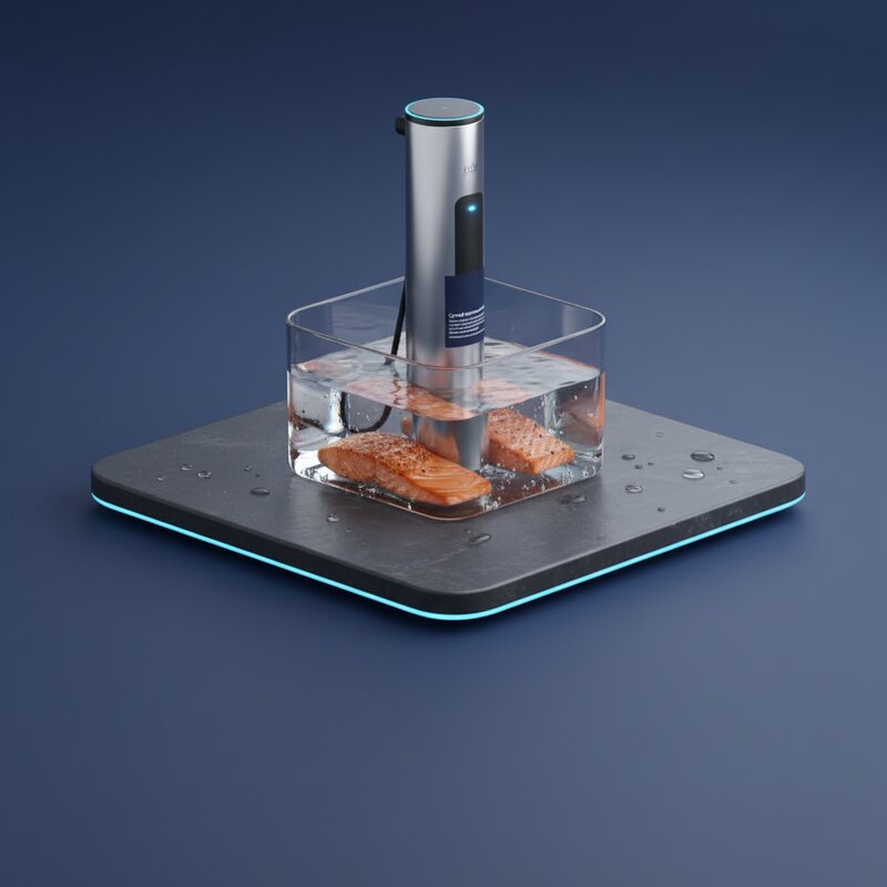 Sous Vide Immersion Circulator